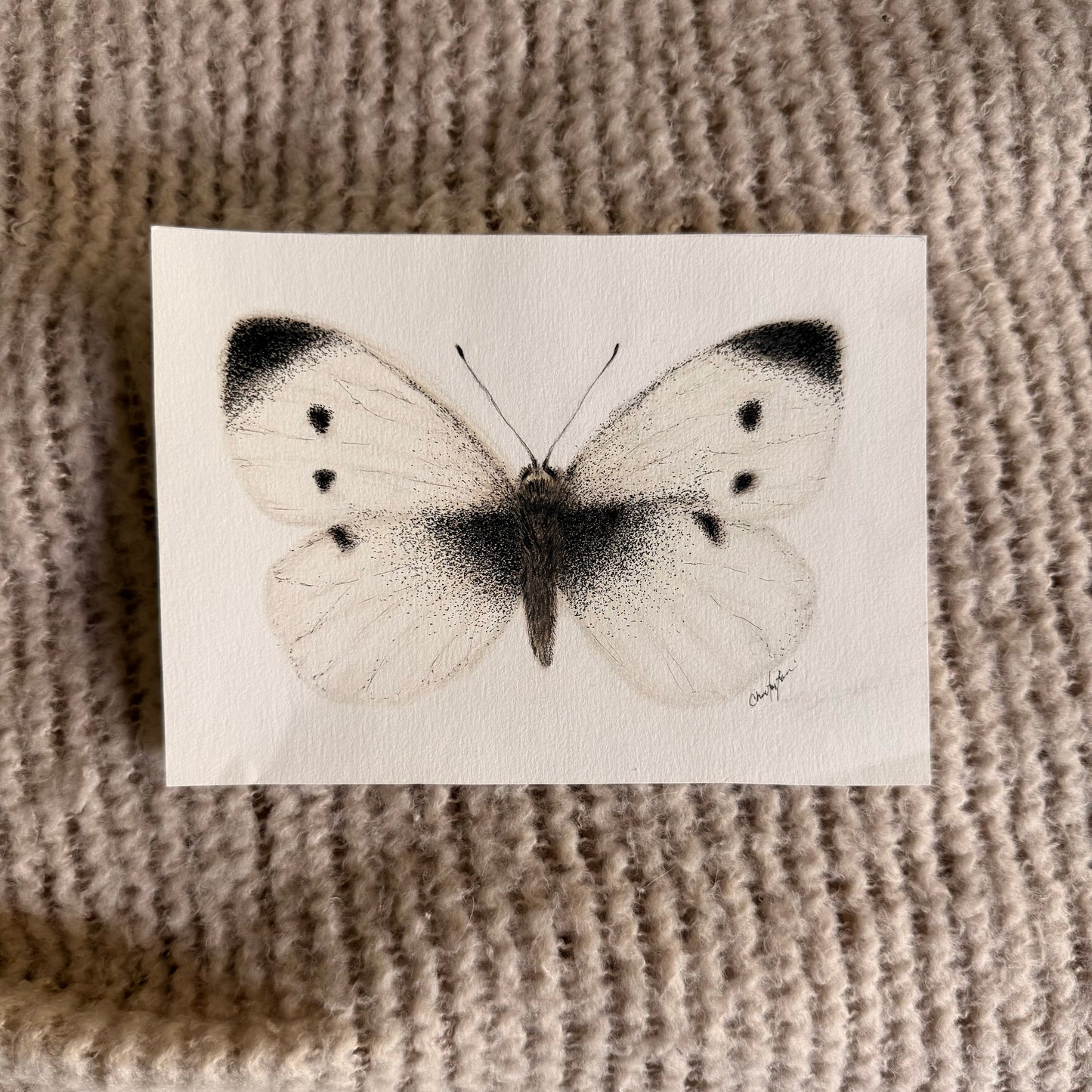 Speckle Butterfly - 5x7"